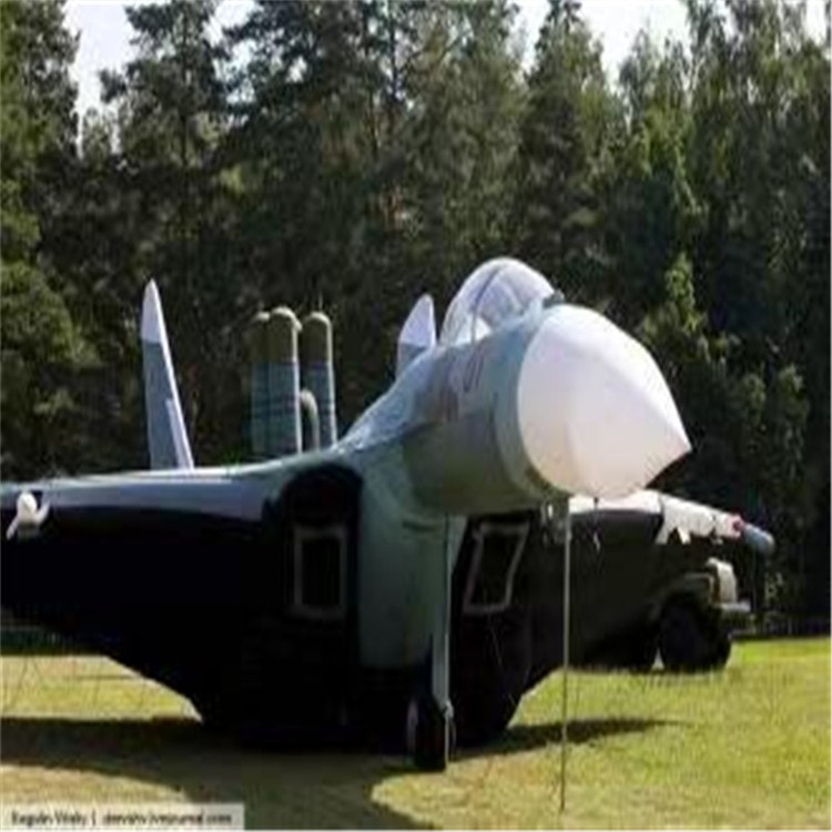 印江充气模型飞机制造商家